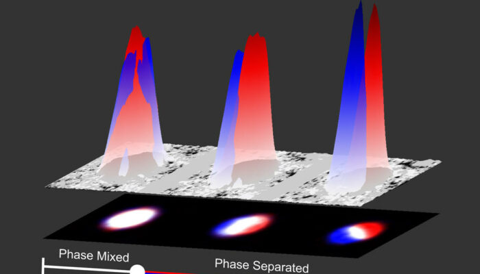 How Foreign Atoms Trigger Superconductivity