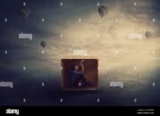 You’re trapped in a cardboard box. How do you get out?