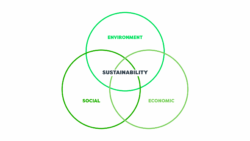 Where did the three pillars of sustainability come from?