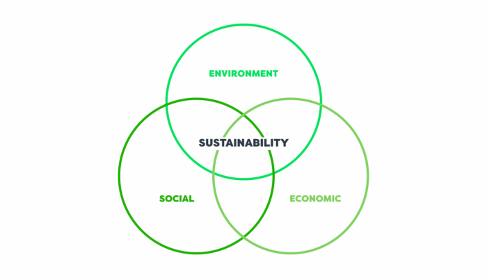 Where did the three pillars of sustainability come from?