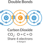 What types of atoms form covalent bonds?