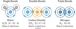 What types of atoms form covalent bonds?