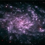 Is there any real 1D or 2D object in our universe?