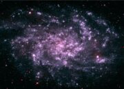 Is there any real 1D or 2D object in our universe?