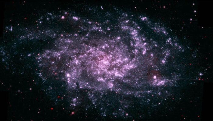 Is there any real 1D or 2D object in our universe?