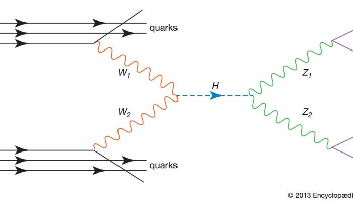 How was the axial Higgs boson discovered?