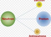 What is the fastest interaction/nuclear force?