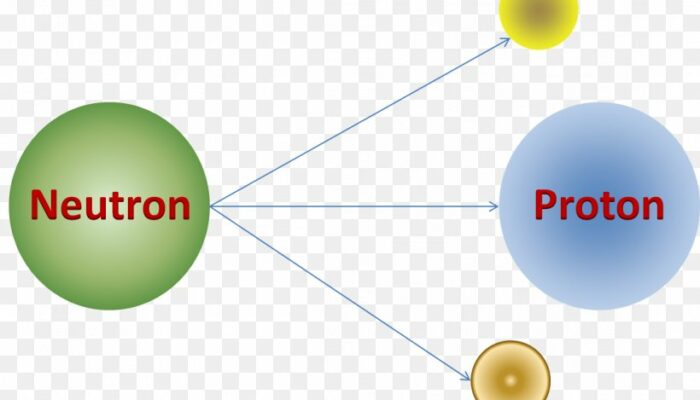 What is the fastest interaction/nuclear force?