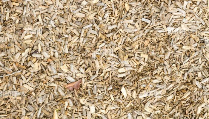 From the Ground Up: A Galactic-Scale Observatory