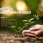 What is the role of ethics in environmental protection?