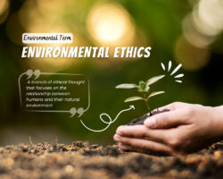 What is environmental ethics?