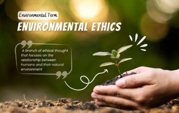 What is the role of ethics in environmental protection?
