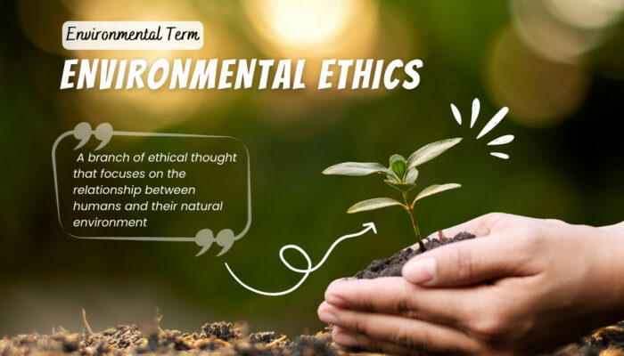 What is the role of ethics in environmental protection?