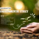 What is the role of ethics in environmental protection?