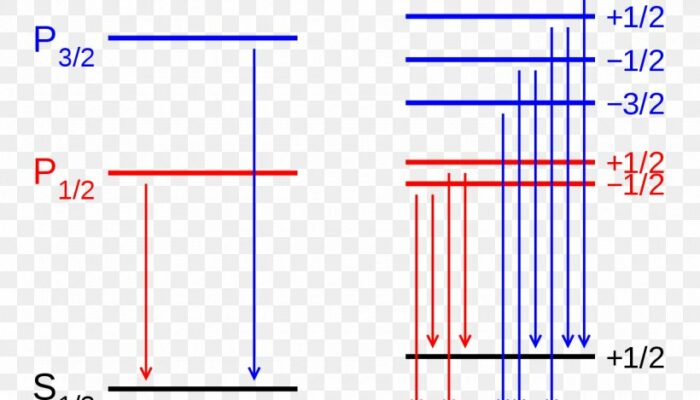 Droplets Mimic Zeeman Effect: Fluid Systems Mirror Quantum Physics