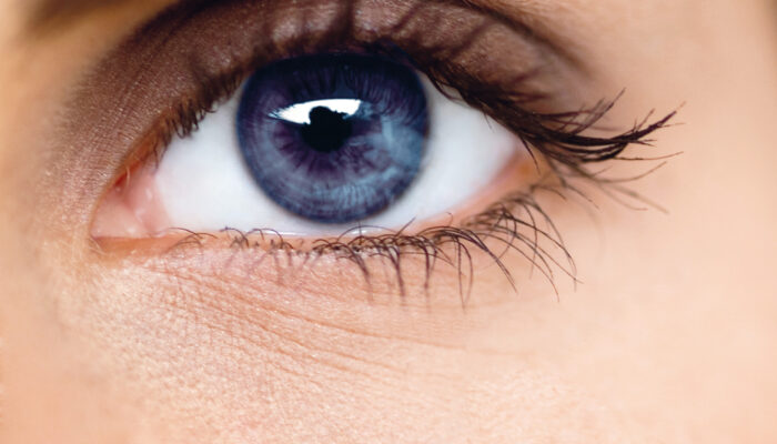 Eyes on the Future: Astronomers Plan for the Next Cosmic Era