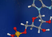 How big is the smallest molecule?