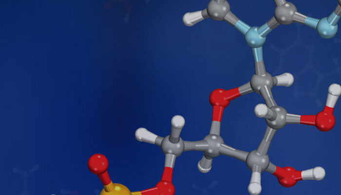 How big is the smallest molecule?
