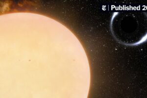 Are We Secretly Orbiting a Black Hole Right Now?