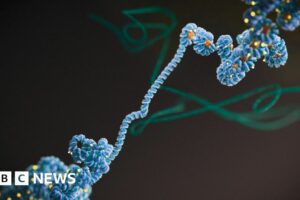 Is Dark Matter Dangerous to Humans?