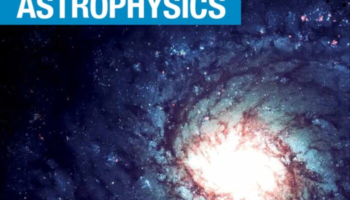 How to Start Your Own Research in Astrophysics