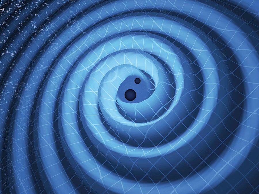 Are Black Holes Really Holes—or Something Else?