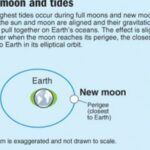 Does Earth Pull on the Sun Too?