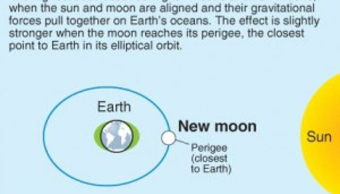 Does Earth Pull on the Sun Too?