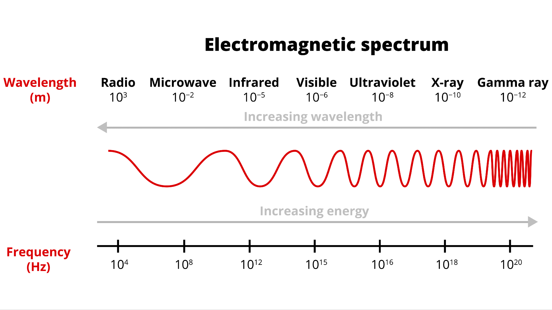 How Gamma Rays Kill—The Deadliest Radiation in Space