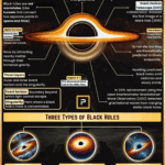 Are Black Holes the Universe’s Reproduction System?