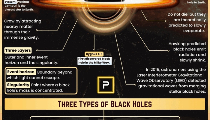 Are Black Holes the Universe’s Reproduction System?