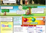 Is Gravity a Universal Law or Just a Theory?