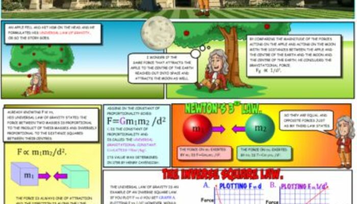 Is Gravity a Universal Law or Just a Theory?