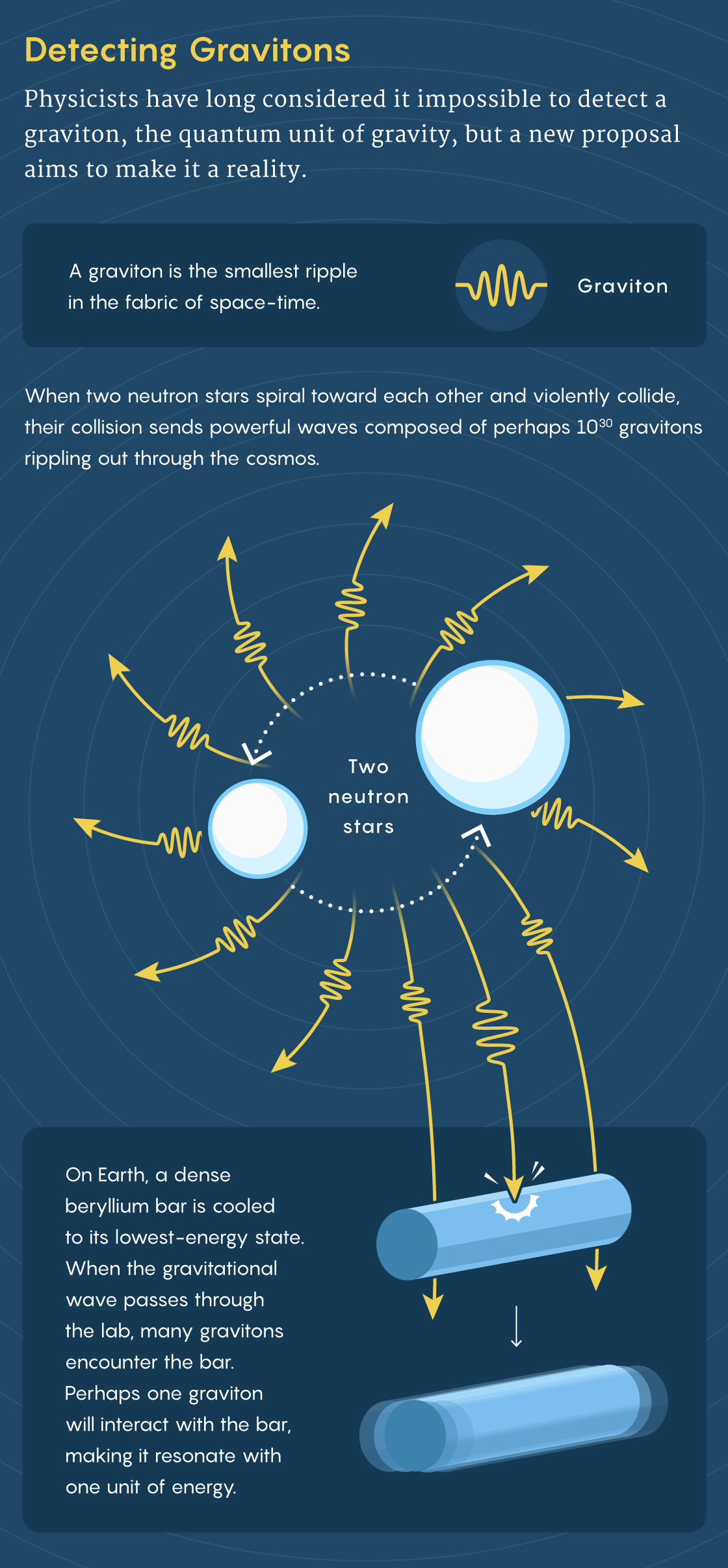 Is There a Particle of Gravity? The Search for the Graviton
