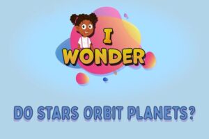 Do Stars Orbit Something Bigger Too?