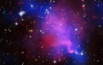What Would Happen If You Entered a Dark Matter Cloud?