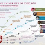 Neuroscience vs Astrophysics—Which Career Fits You?