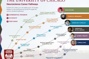 Neuroscience vs Astrophysics—Which Career Fits You?