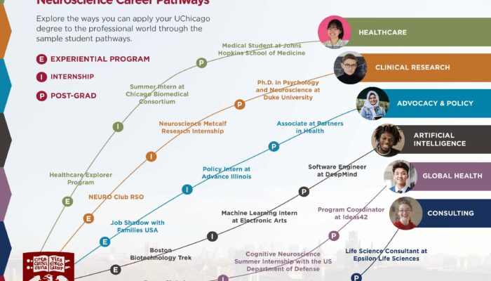 Neuroscience vs Astrophysics—Which Career Fits You?