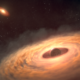 Could Black Holes Be Invisible Stars?