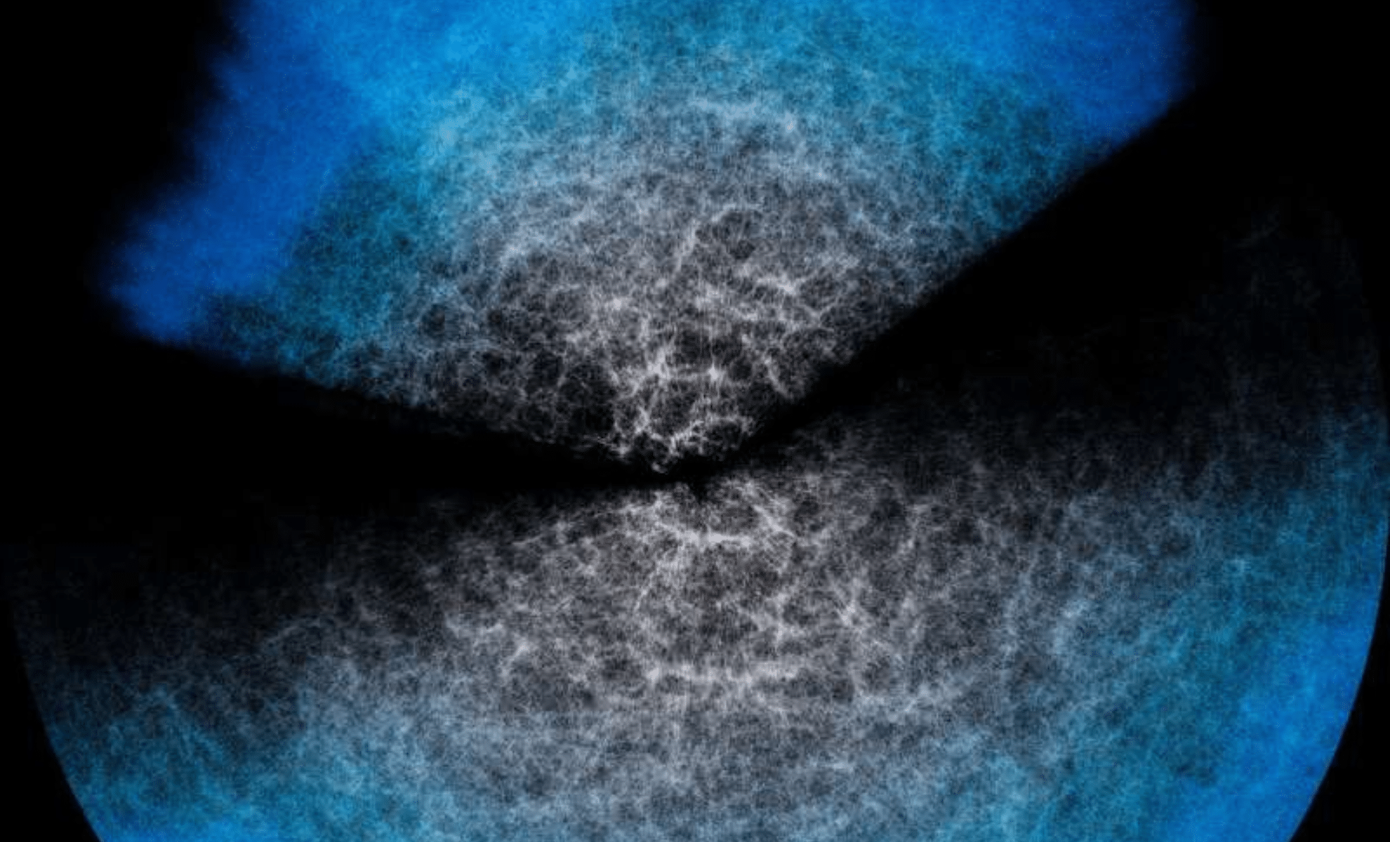 Are Scientists Overcomplicating the Universe?