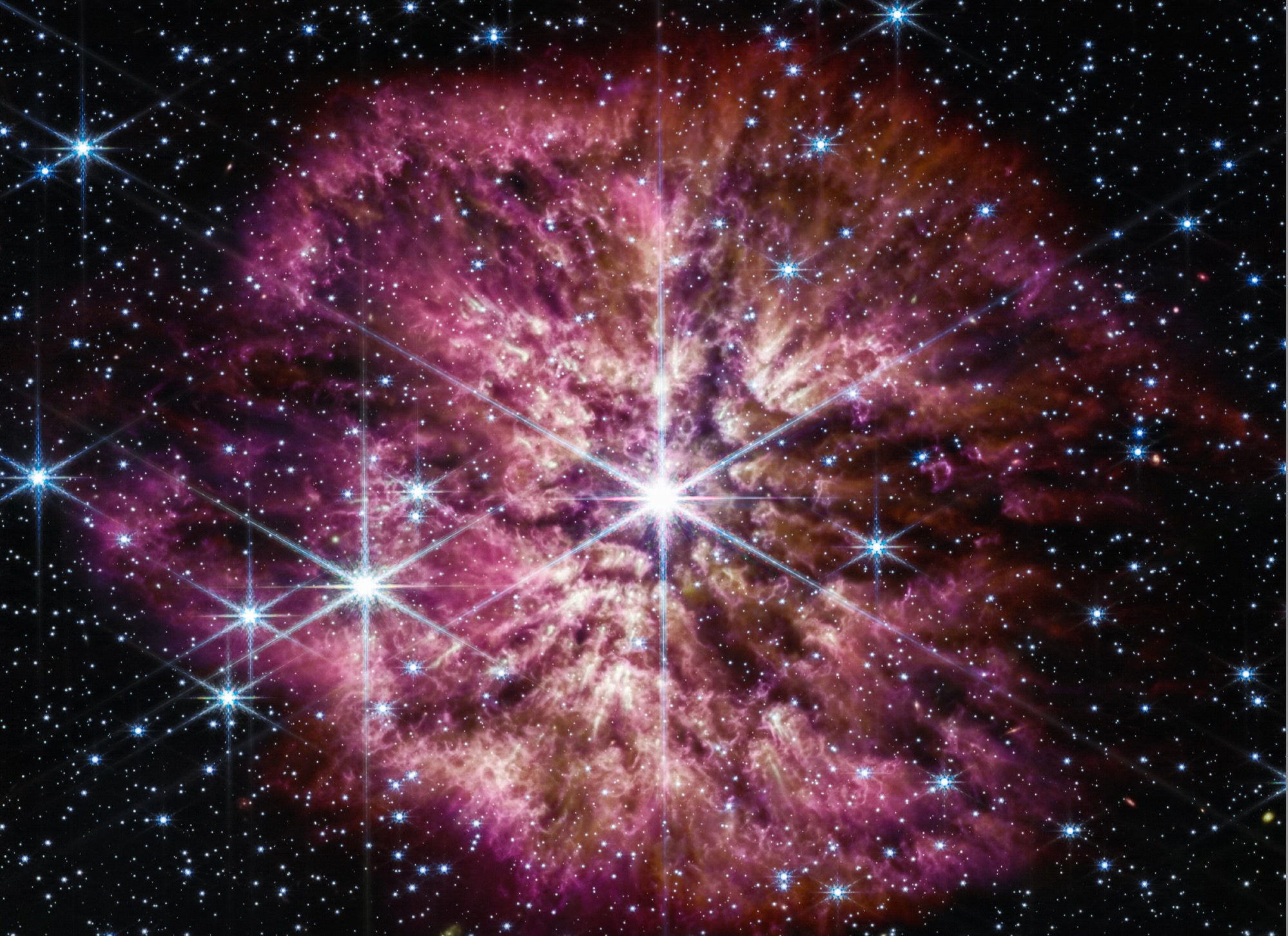 Has the James Webb Space Telescope Found “Dark Stars”?