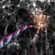 Is There Anything in Space That Doesn’t Move or Spin?