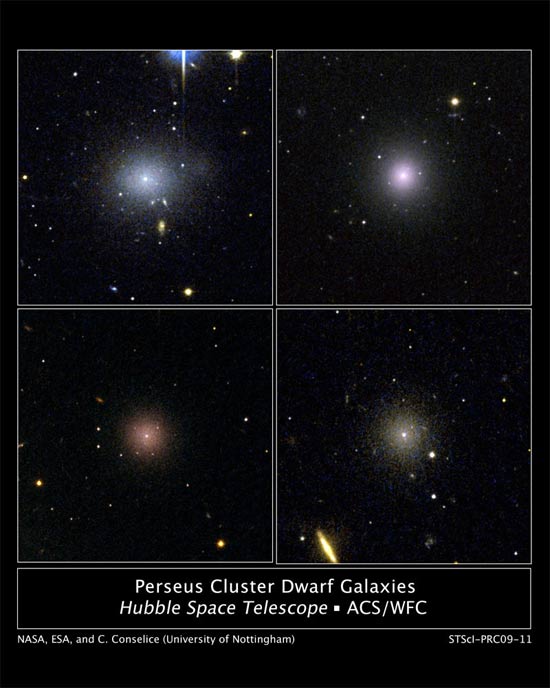 How Dark Matter Builds Entire Galaxies
