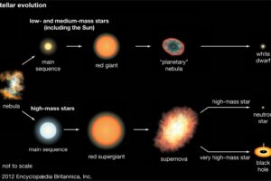 What Makes a Star Become a Red Giant?