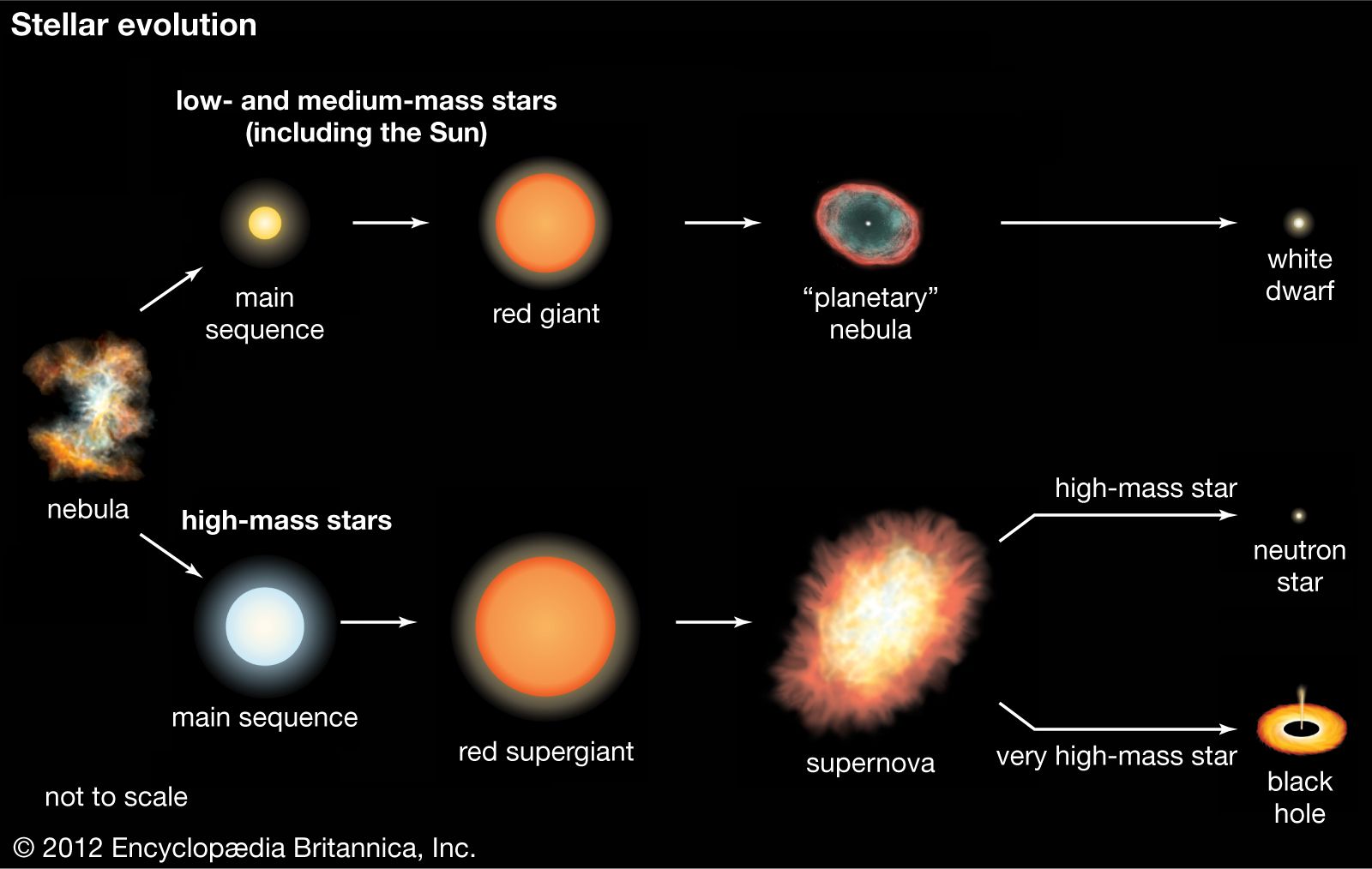 What Makes a Star Become a Red Giant?