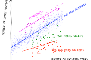 What Holds Stars Together Across Galaxies?