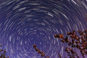 How Gravity Shapes Everything We See in the Universe