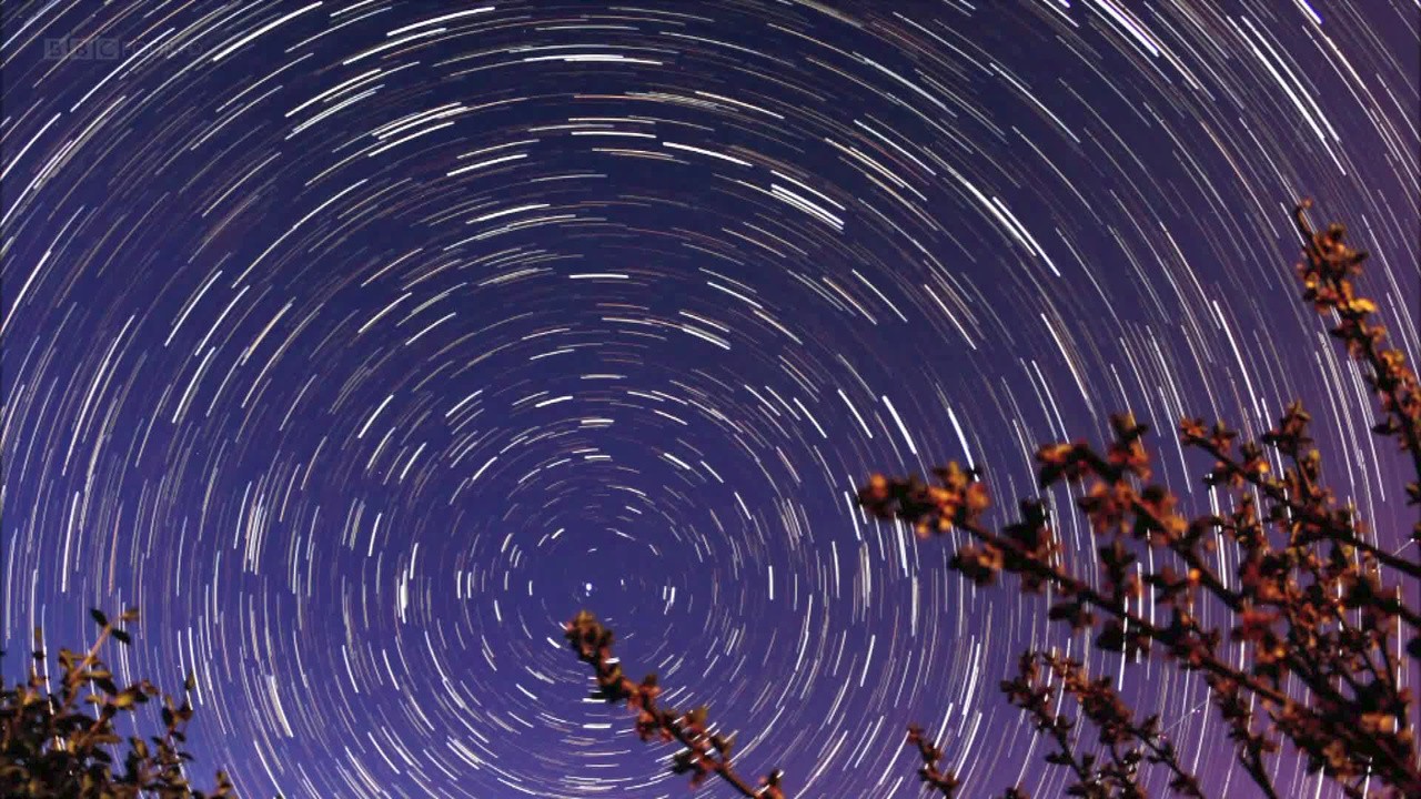 How Gravity Shapes Everything We See in the Universe