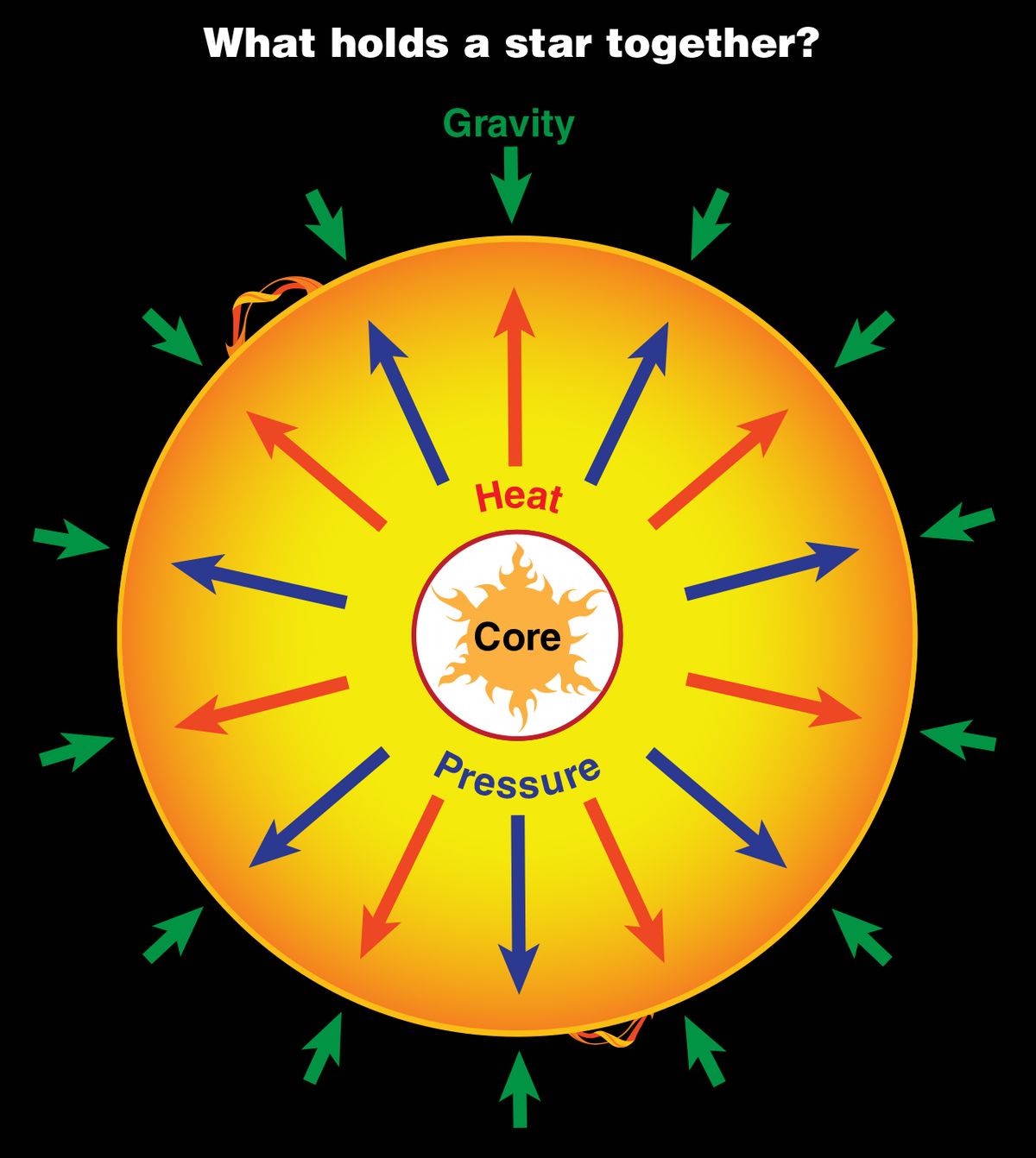 How Gravity Shapes the Size and Life of Stars